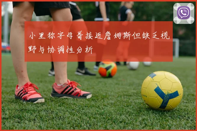 小里称字母哥接近詹姆斯但缺乏视野与协调性分析